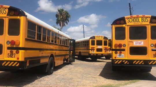 bus, school, school bus